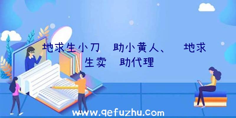 绝地求生小刀辅助小黄人、绝地求生卖辅助代理