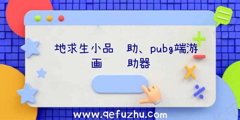 绝地求生小品辅助、pubg端游画质辅助器