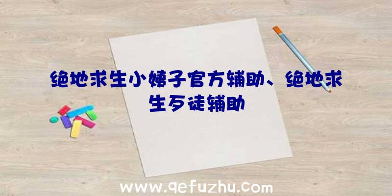 绝地求生小姨子官方辅助、绝地求生歹徒辅助