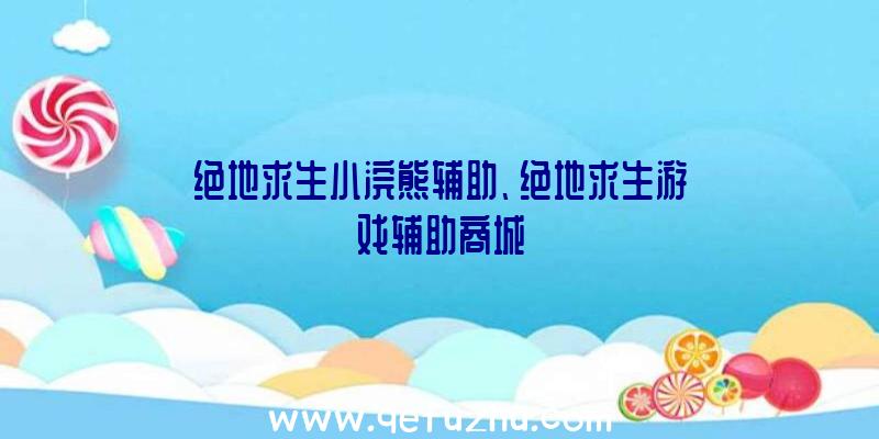 绝地求生小浣熊辅助、绝地求生游戏辅助商城