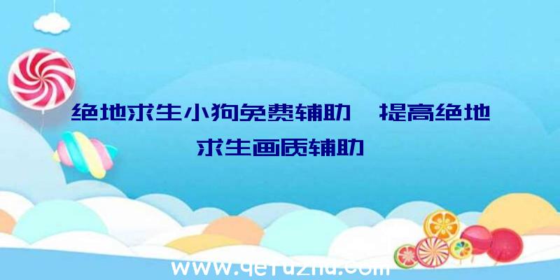 绝地求生小狗免费辅助、提高绝地求生画质辅助