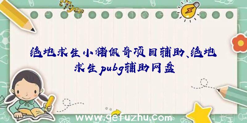 绝地求生小猪佩奇项目辅助、绝地求生pubg辅助网盘