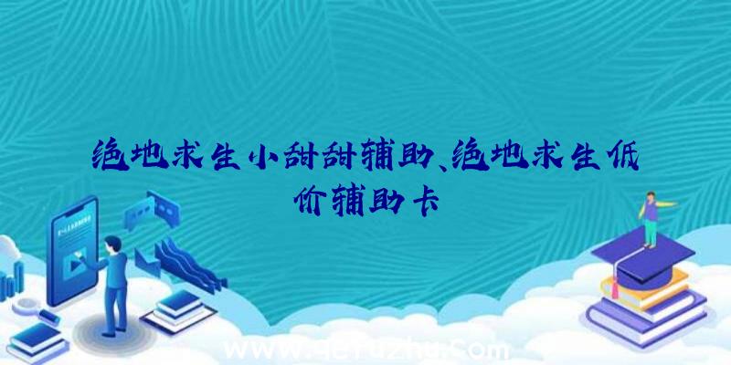 绝地求生小甜甜辅助、绝地求生低价辅助卡