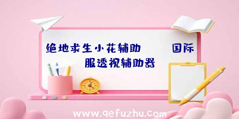 绝地求生小花辅助、pubg国际服透视辅助器