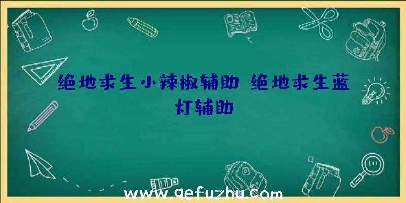 绝地求生小辣椒辅助、绝地求生蓝灯辅助