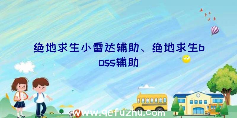 绝地求生小雷达辅助、绝地求生boss辅助