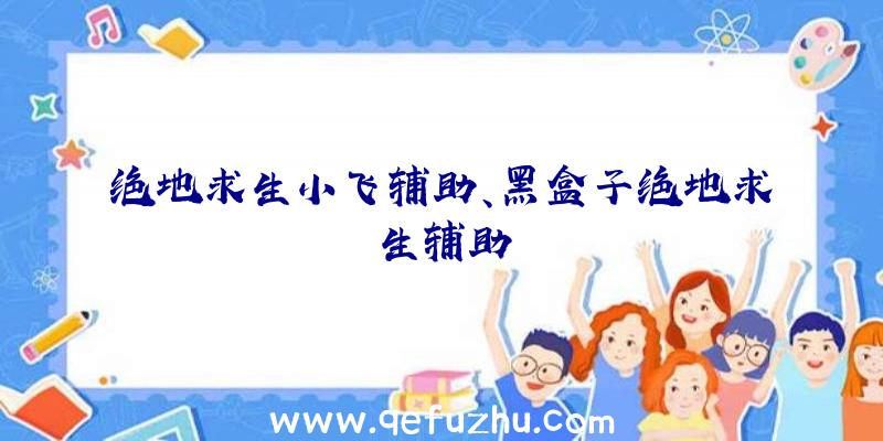 绝地求生小飞辅助、黑盒子绝地求生辅助