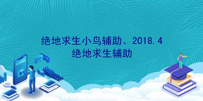 绝地求生小鸟辅助、2018.4绝地求生辅助