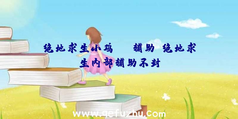 绝地求生小鸡edg辅助、绝地求生内部辅助不封