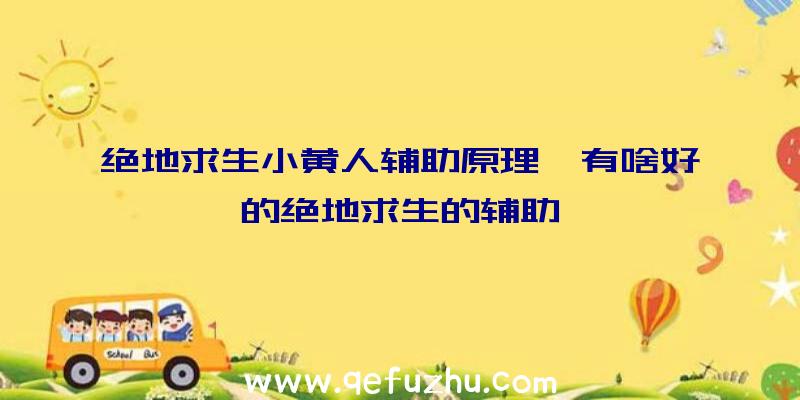 绝地求生小黄人辅助原理、有啥好的绝地求生的辅助