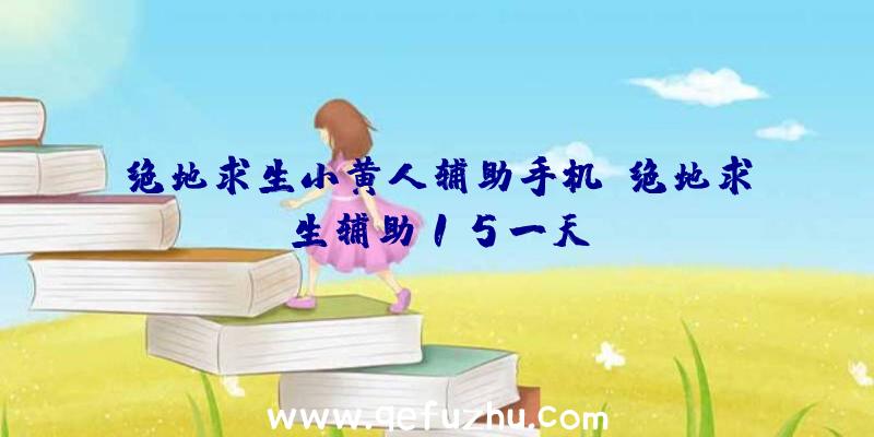 绝地求生小黄人辅助手机、绝地求生辅助15一天