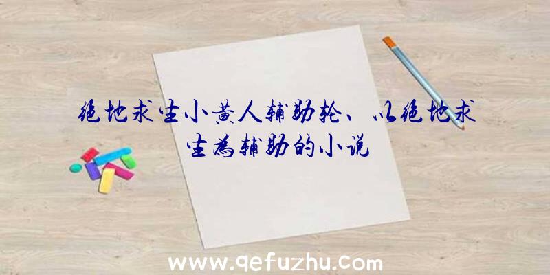 绝地求生小黄人辅助轮、以绝地求生为辅助的小说