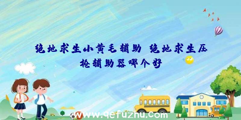 绝地求生小黄毛辅助、绝地求生压枪辅助器哪个好