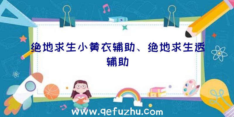 绝地求生小黄衣辅助、绝地求生透辅助