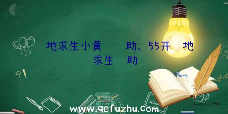 绝地求生小黄鸭辅助、55开绝地求生辅助