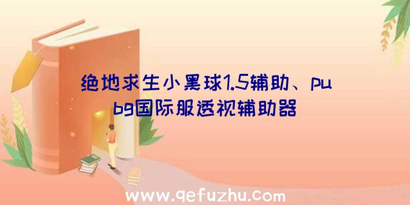 绝地求生小黑球1.5辅助、pubg国际服透视辅助器