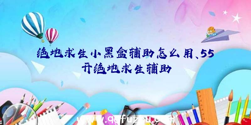 绝地求生小黑盒辅助怎么用、55开绝地求生辅助