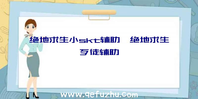 绝地求生小skt辅助、绝地求生歹徒辅助