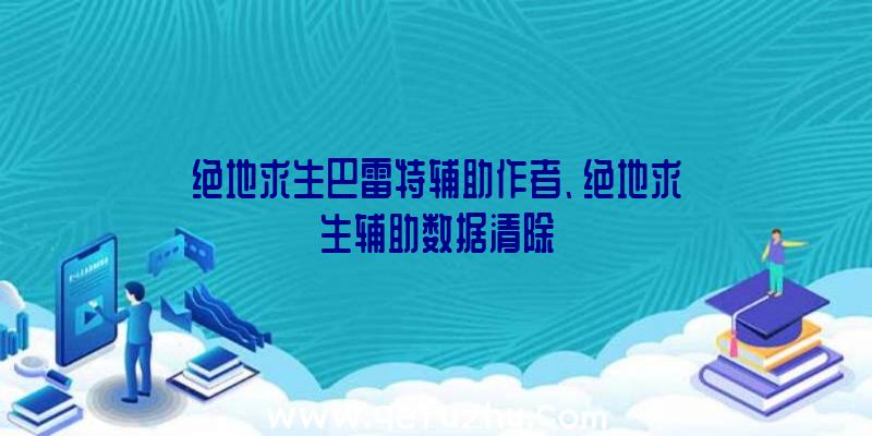 绝地求生巴雷特辅助作者、绝地求生辅助数据清除