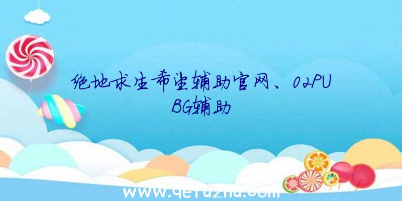 绝地求生希望辅助官网、02PUBG辅助