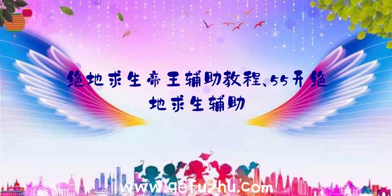 绝地求生帝王辅助教程、55开绝地求生辅助