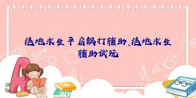 绝地求生平底锅打辅助、绝地求生辅助试玩