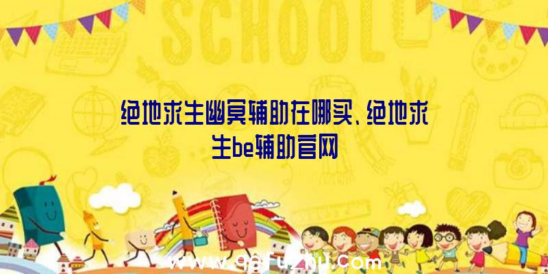 绝地求生幽冥辅助在哪买、绝地求生be辅助官网