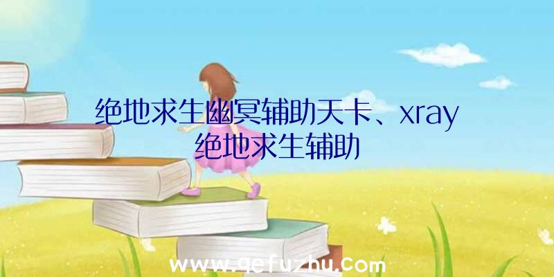 绝地求生幽冥辅助天卡、xray绝地求生辅助