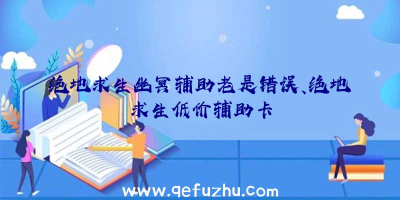 绝地求生幽冥辅助老是错误、绝地求生低价辅助卡