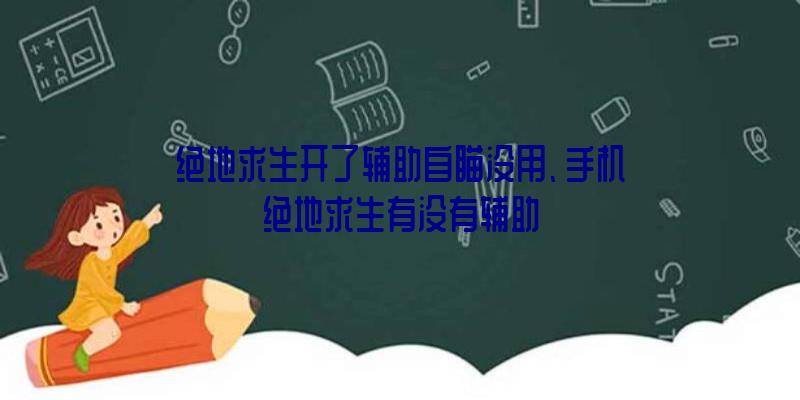 绝地求生开了辅助自瞄没用、手机绝地求生有没有辅助