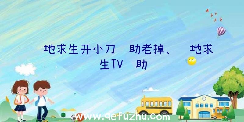 绝地求生开小刀辅助老掉、绝地求生TV辅助