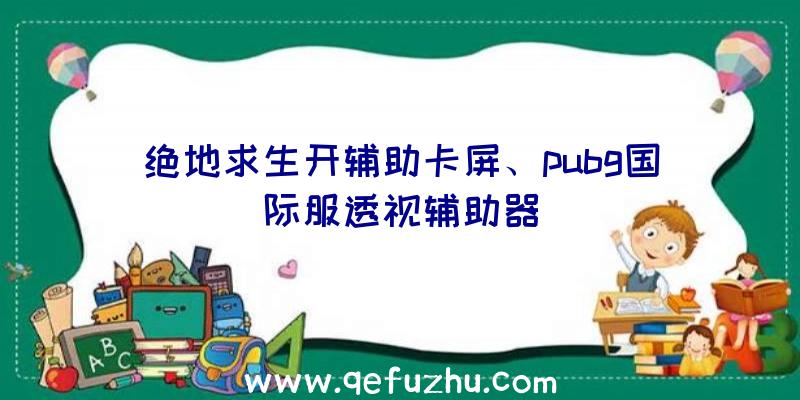 绝地求生开辅助卡屏、pubg国际服透视辅助器