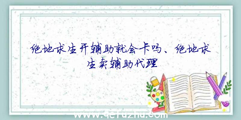 绝地求生开辅助就会卡吗、绝地求生卖辅助代理