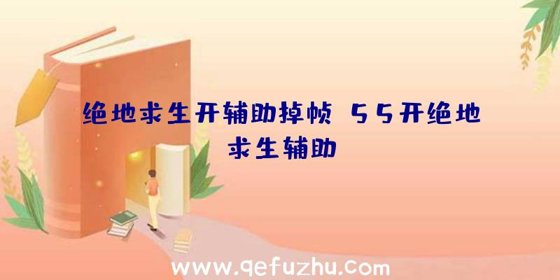 绝地求生开辅助掉帧、55开绝地求生辅助