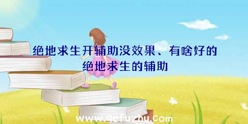 绝地求生开辅助没效果、有啥好的绝地求生的辅助