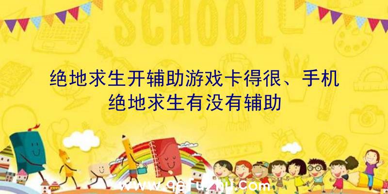 绝地求生开辅助游戏卡得很、手机绝地求生有没有辅助