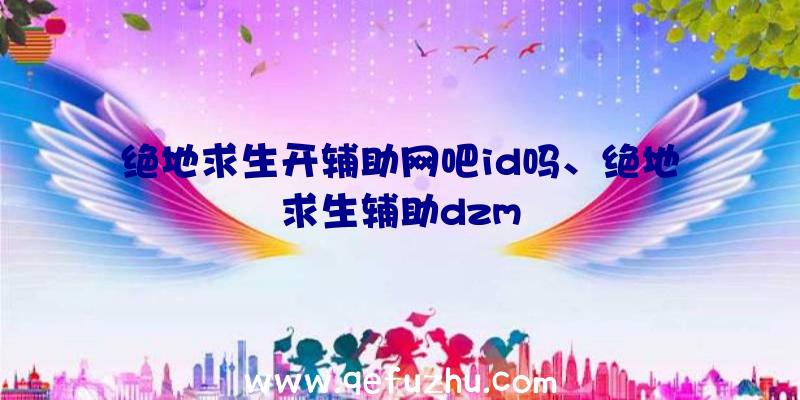 绝地求生开辅助网吧id吗、绝地求生辅助dzm