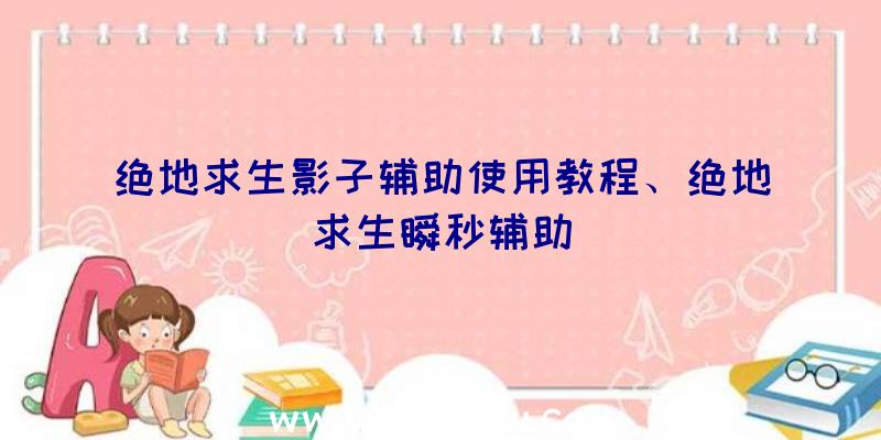 绝地求生影子辅助使用教程、绝地求生瞬秒辅助