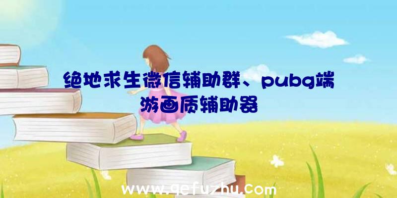 绝地求生微信辅助群、pubg端游画质辅助器