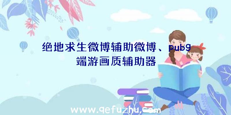 绝地求生微博辅助微博、pubg端游画质辅助器