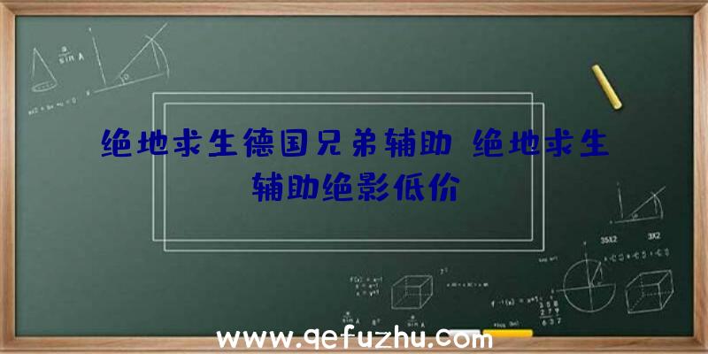 绝地求生德国兄弟辅助、绝地求生辅助绝影低价