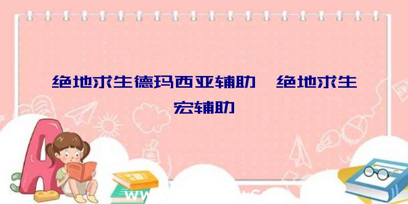 绝地求生德玛西亚辅助、绝地求生宏辅助