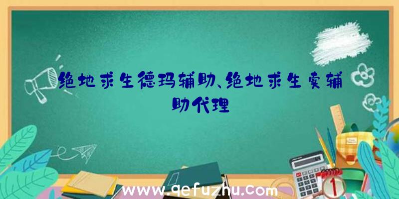 绝地求生德玛辅助、绝地求生卖辅助代理