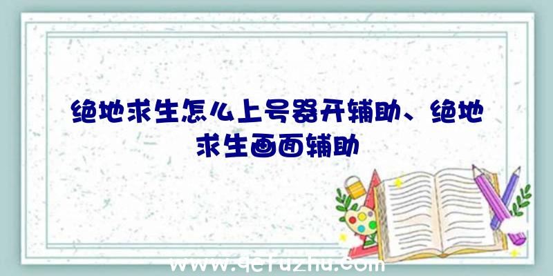 绝地求生怎么上号器开辅助、绝地求生画面辅助