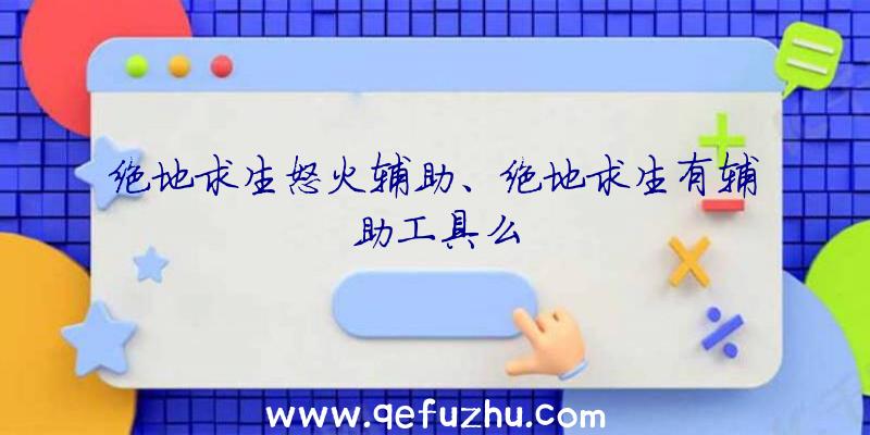 绝地求生怒火辅助、绝地求生有辅助工具么