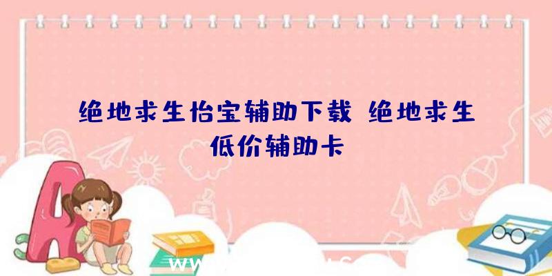 绝地求生怡宝辅助下载、绝地求生低价辅助卡