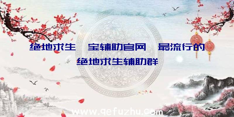 绝地求生怡宝辅助官网、最流行的绝地求生辅助群