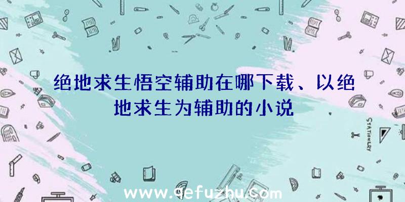 绝地求生悟空辅助在哪下载、以绝地求生为辅助的小说