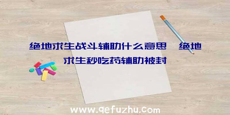 绝地求生战斗辅助什么意思、绝地求生秒吃药辅助被封