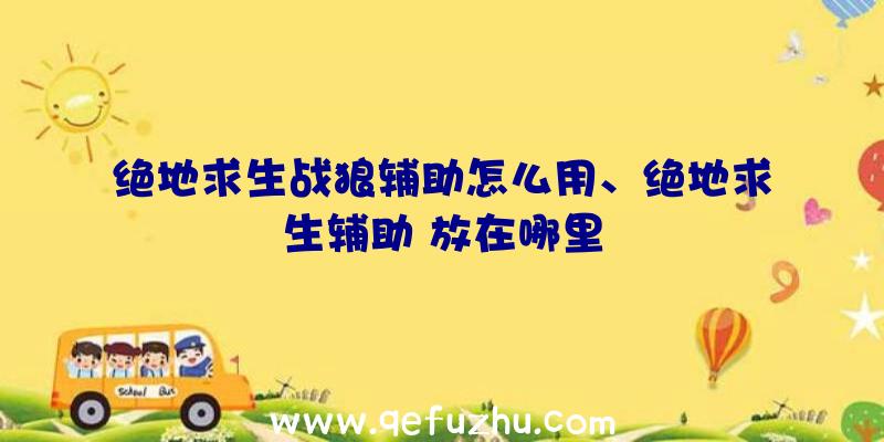 绝地求生战狼辅助怎么用、绝地求生辅助